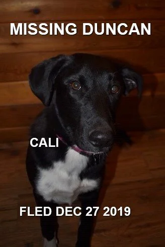 HAPPY ENDINGS - DUNCAN BC - DEC. 27, 2019