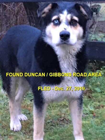 HAPPY ENDINGS - DUNCAN BC - DEC. 27, 2019