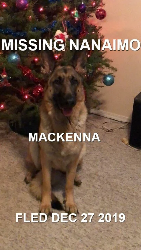 HAPPY ENDINGS - NANAIMO BC - DEC. 26, 2019