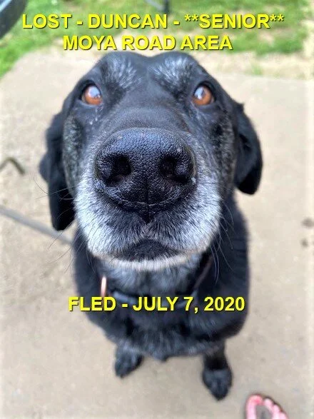 HAPPY ENDINGS - DUNCAN BC - JULY 7, 2020