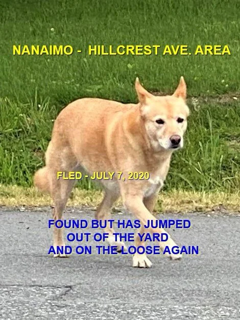 HAPPY ENDINGS - NANAIMO BC - JULY 7, 2020