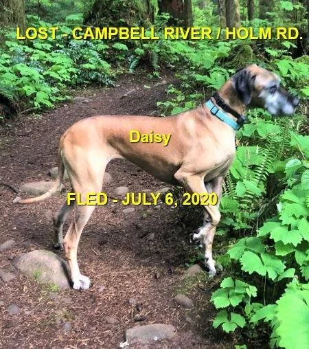 HAPPY ENDINGS - CAMPBELL RIVER BC - JULY 6, 2020