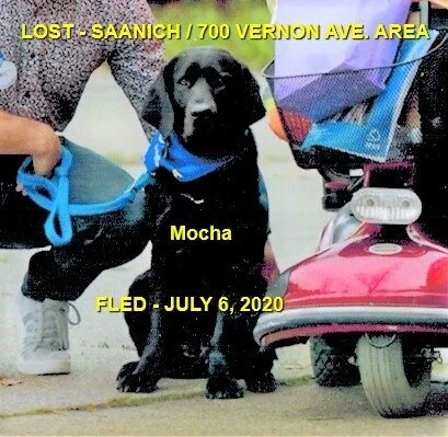 HAPPY ENDINGS - SAANICH BC - JULY 6, 2020