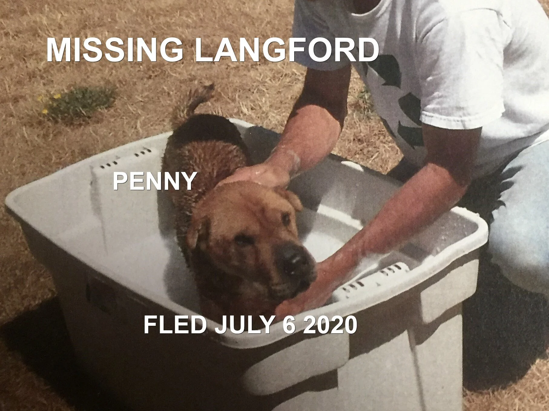 HAPPY ENDINGS - LANGFORD BC - JULY 6, 2020