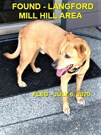 HAPPY ENDINGS - LANGFORD BC - JULY 6, 2020