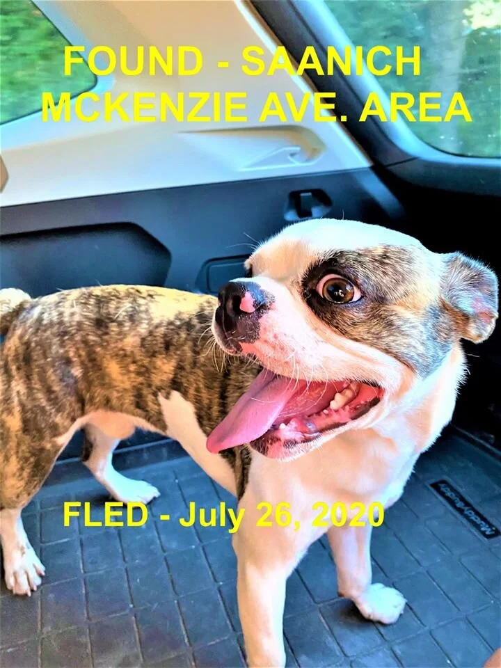 HAPPY ENDINGS - SAANICH BC - JULY 25, 2020