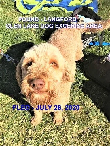 HAPPY ENDINGS - LANGFORD BC - JULY 26, 2020