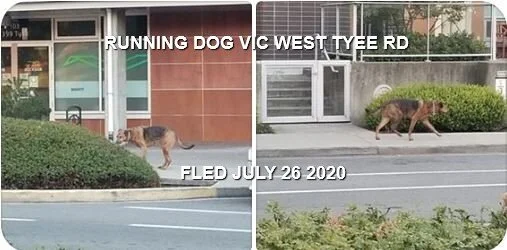 HAPPY ENDINGS - VICTORIA (VIC WEST) BC - JULY 26, 2020