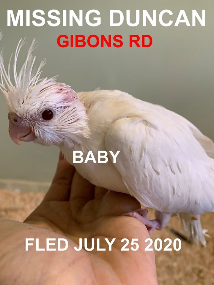 HAPPY ENDINGS - DUNCAN BC - JULY 25, 2020 