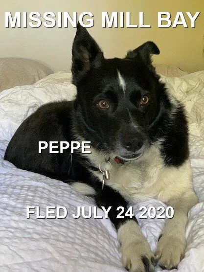 HAPPY ENDINGS - MILL BAY BC - JULY 24, 2020