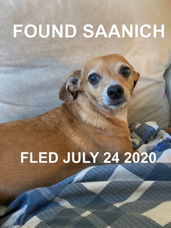 HAPPY ENDINGS - SAANICH BC - JULY 24, 2020