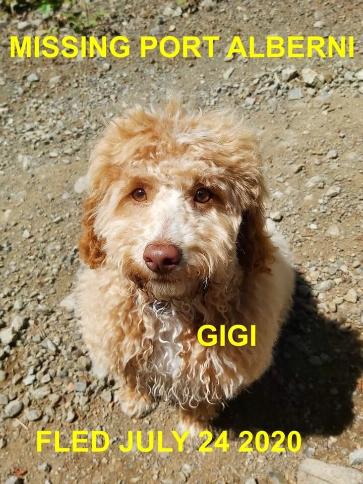 HAPPY ENDINGS - PORT ALBERNI BC - JULY 24, 2020