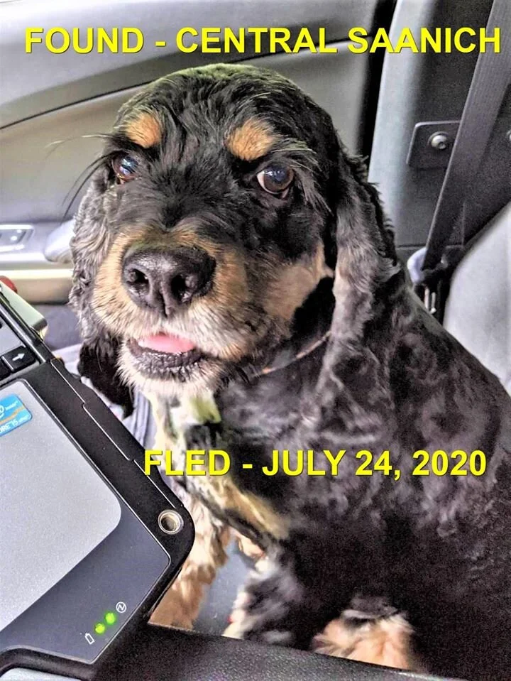 HAPPY ENDING - CENTRAL SAANICH BC - JULY 24, 2020