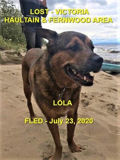 HAPPY ENDINGS -VICTORIA BC - JULY 23, 2020