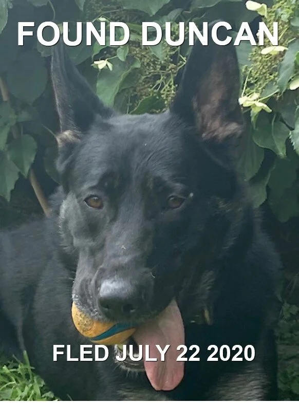 HAPPY ENDINGS - DUNCAN BC - JULY 21, 2020