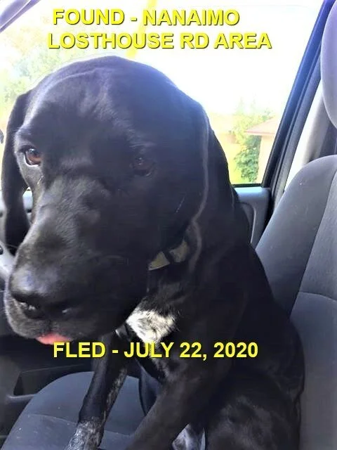 HAPPY ENDINGS - NANAIMO BC - JULY 22, 2020