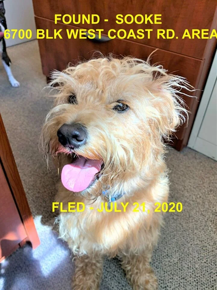 HAPPY ENDINGS - SOOKE BC - JULY 21, 2020