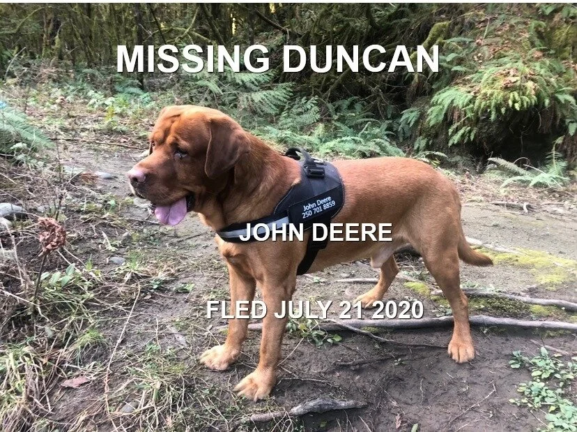 HAPPY ENDINGS - DUNCAN BC - JULY 20, 2020 (MISSING WITH MYA)