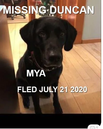 HAPPY ENDINGS - DUNCAN BC - JULY 21, 2020 