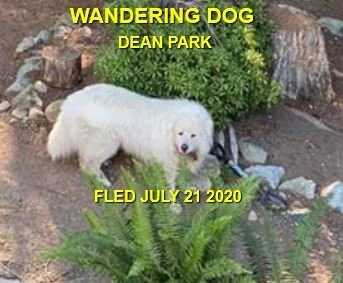 HAPPY ENDINGS - NORTH SAANICH BC - JULY 21, 2020