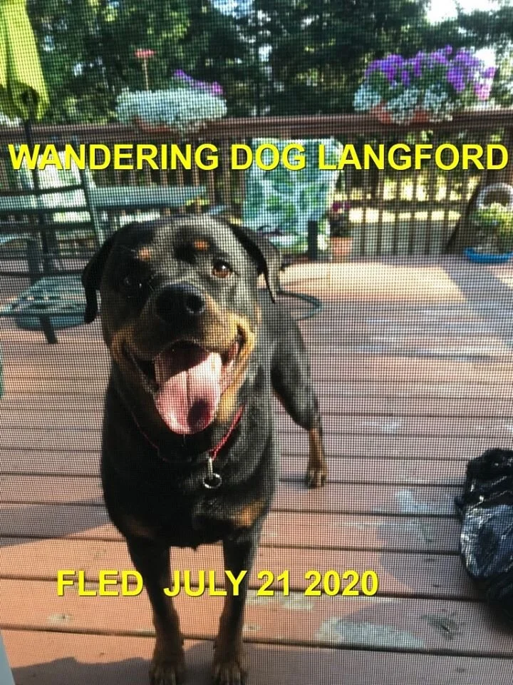 HAPPY ENDINGS -LANGFORD BC - JULY 21, 2020