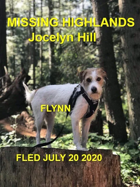 HAPPY ENDINGS - HIGHLANDS BC - JULY 20, 2020