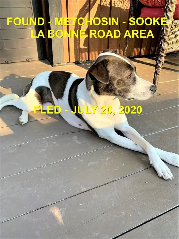 HAPPY ENDINGS - METCHOSIN / SOOKE - JULY 20, 2020