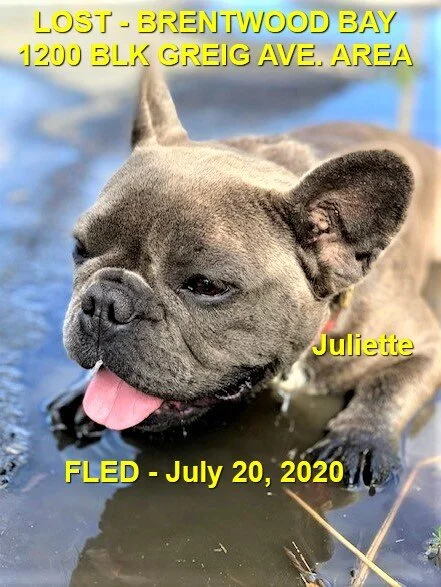 OVER THE RAINBOW BRIDGE -  JULIETTE - JULY 20, 2020
