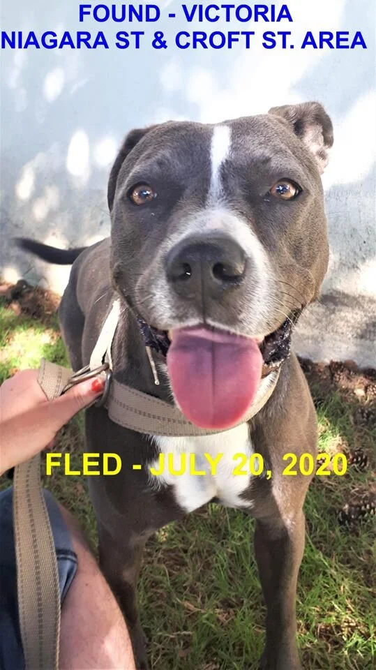 HAPPY ENDINGS - VICTORIA BC -  JULY 20, 2020