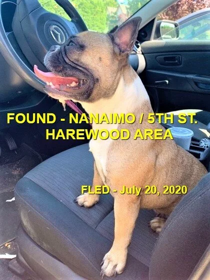 HAPPY ENDINGS - NANAIMO BC - JULY 20, 2020