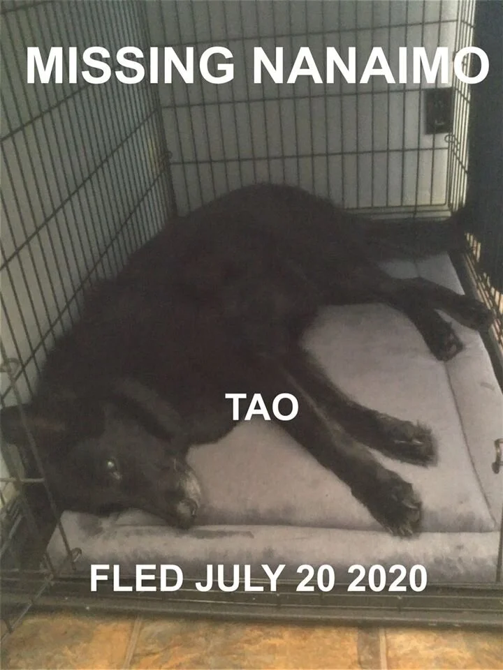 HAPPY ENDINGS - NANAIMO BC - JULY 19, 2020