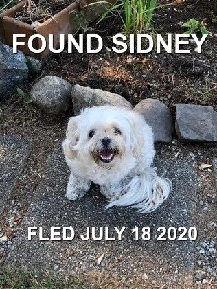 HAPPY ENDINGS - SIDNEY BC - JULY 18, 2020