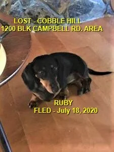 HAPPY ENDINGS - COBBLE HILL BC -JULY 18, 2020