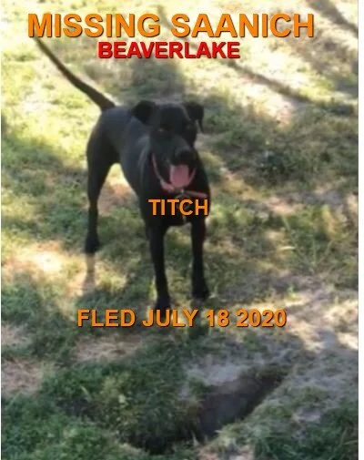 HAPPY ENDINGS - SAANICH BC - JULY 18, 2020