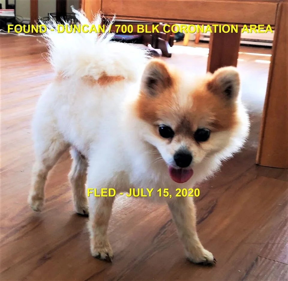 HAPPY ENDINGS - DUNCAN BC - JULY 15, 2020