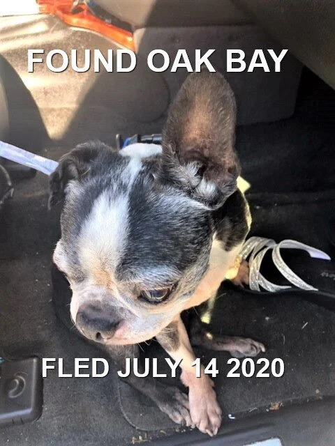 HAPPY ENDINGS - VICTORIA / OAK BAY - JULY 14, 2020