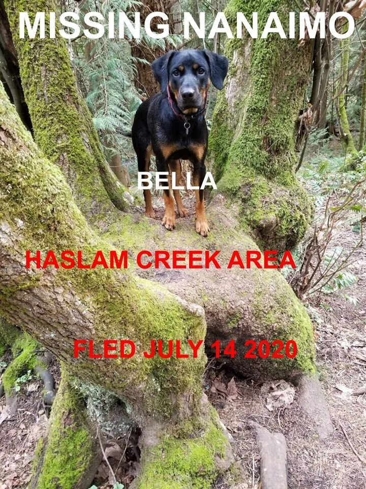 HAPPY ENDINGS - NANAIMO BC - JULY 13,  2020