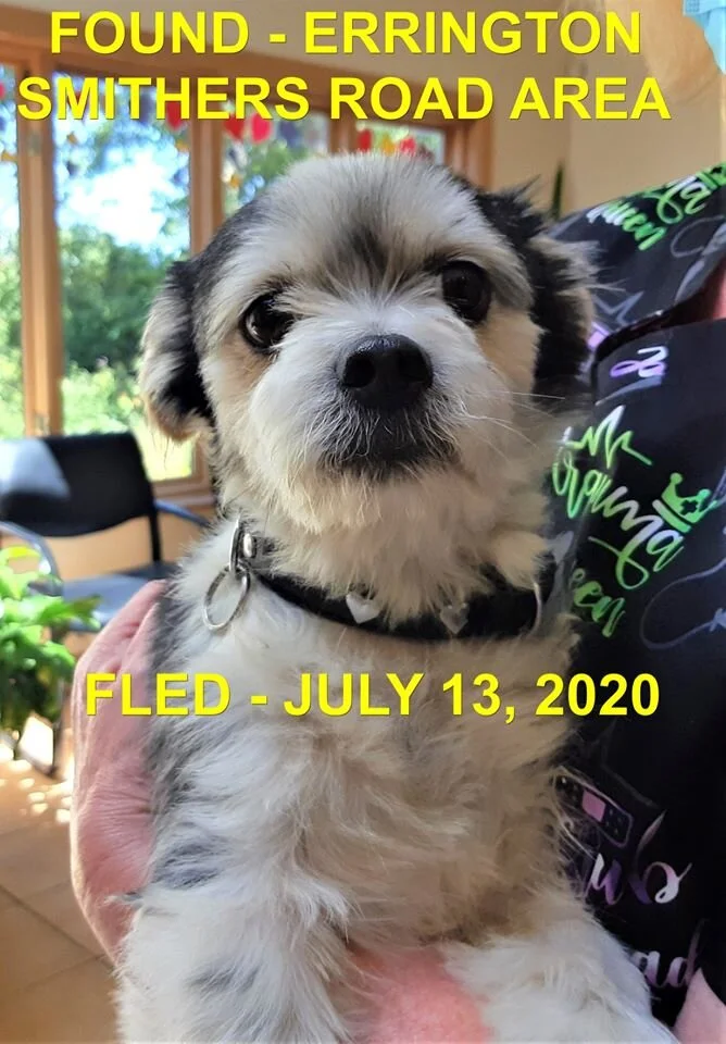 HAPPY ENDINGS - ERRINGTON BC - JULY 13, 2020