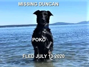 HAPPY ENDINGS - DUNCAN BC - JULY 13, 2020