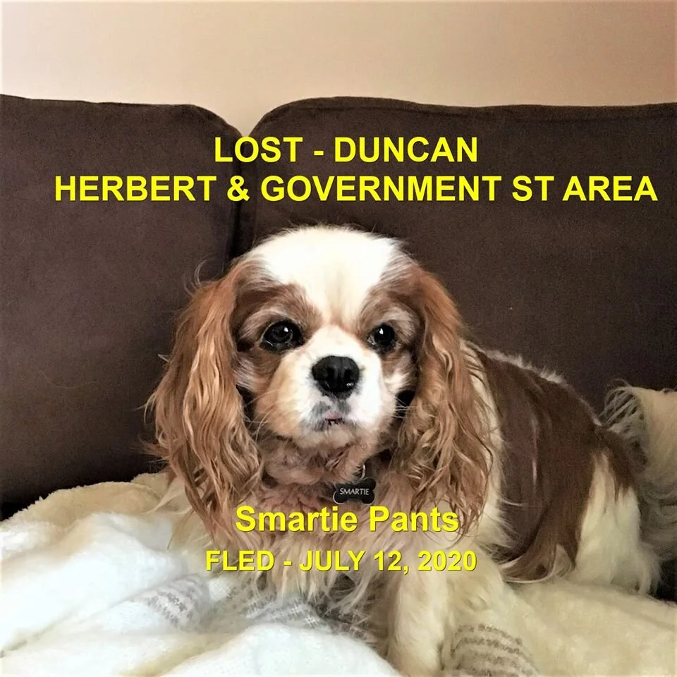 HAPPY ENDINGS - DUNCAN BC - JULY 12, 2020