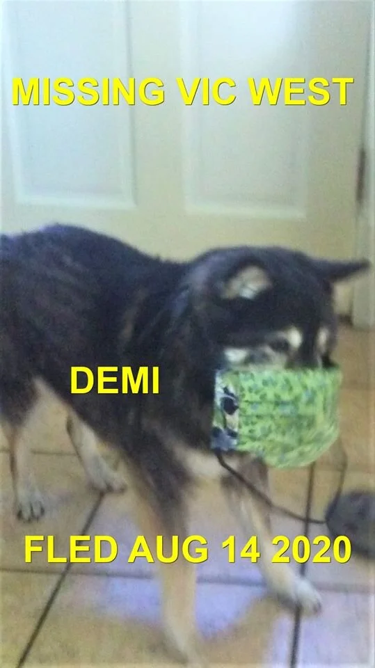 HAPPY ENDINGS- VICTORIA / VIC WEST