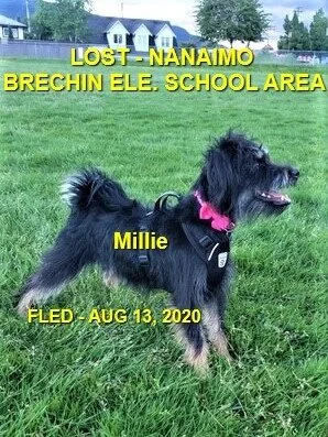 HAPPY ENDINGS - NANAIMO BC - AUG. 13, 2020