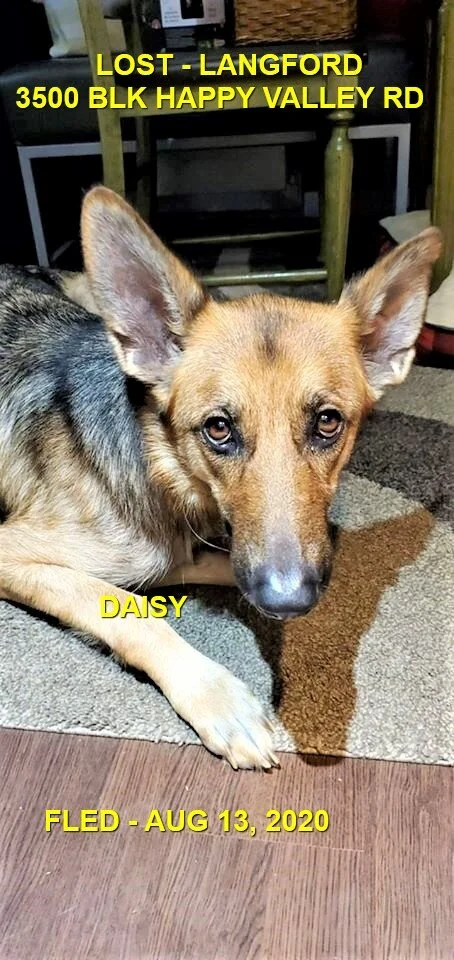 HAPPY ENDINGS - LANGFORD BC - AUG 13M 2020