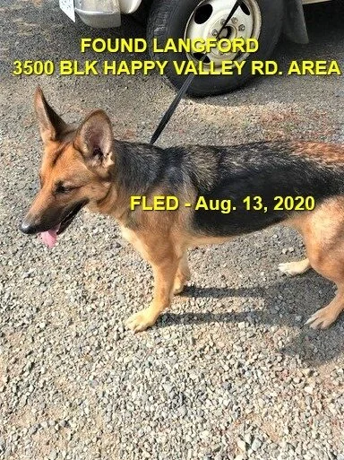 HAPPY ENDINGS - LANGFORD BC - AUG 13, 2020