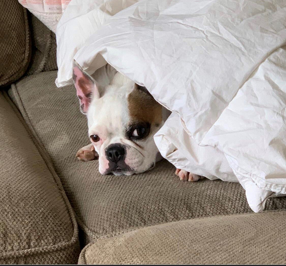 HAPPY ENDINGS - CENTRAL SAANICH BC - AUG. 12, 2020