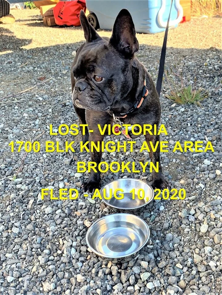 HAPPY ENDINGS - VICTORIA BC -  AUG 10, 2020