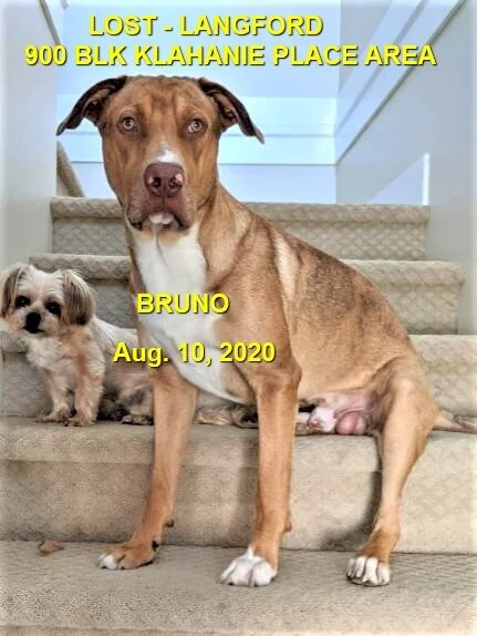 HAPPY ENDINGS - LANGFORD BC - AUG 10, 2020