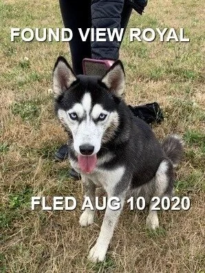 GONE TO SHELTER - VIEW ROYAL BC - AUG 10, 2020