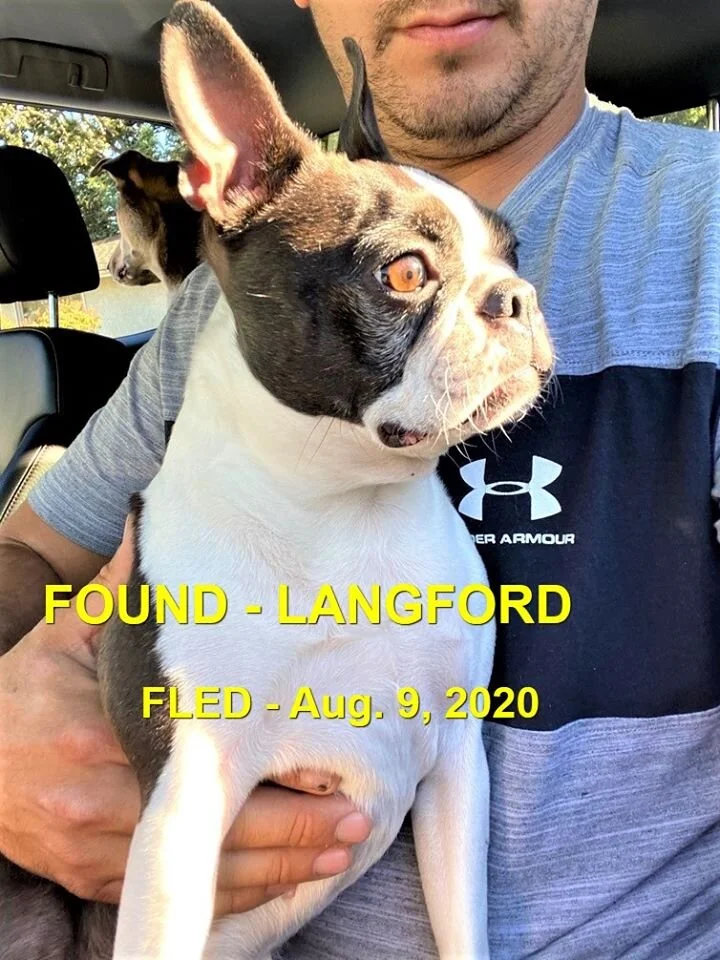 HAPPY ENDINGS - LANGFORD BC - AUG. 9, 2020