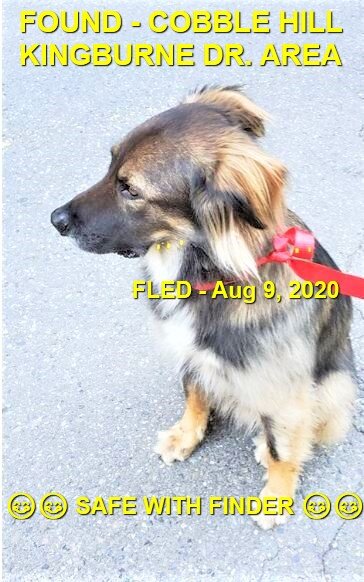 HAPPY ENDINGS - COBBLE HILL BC - AUG 9, 2020